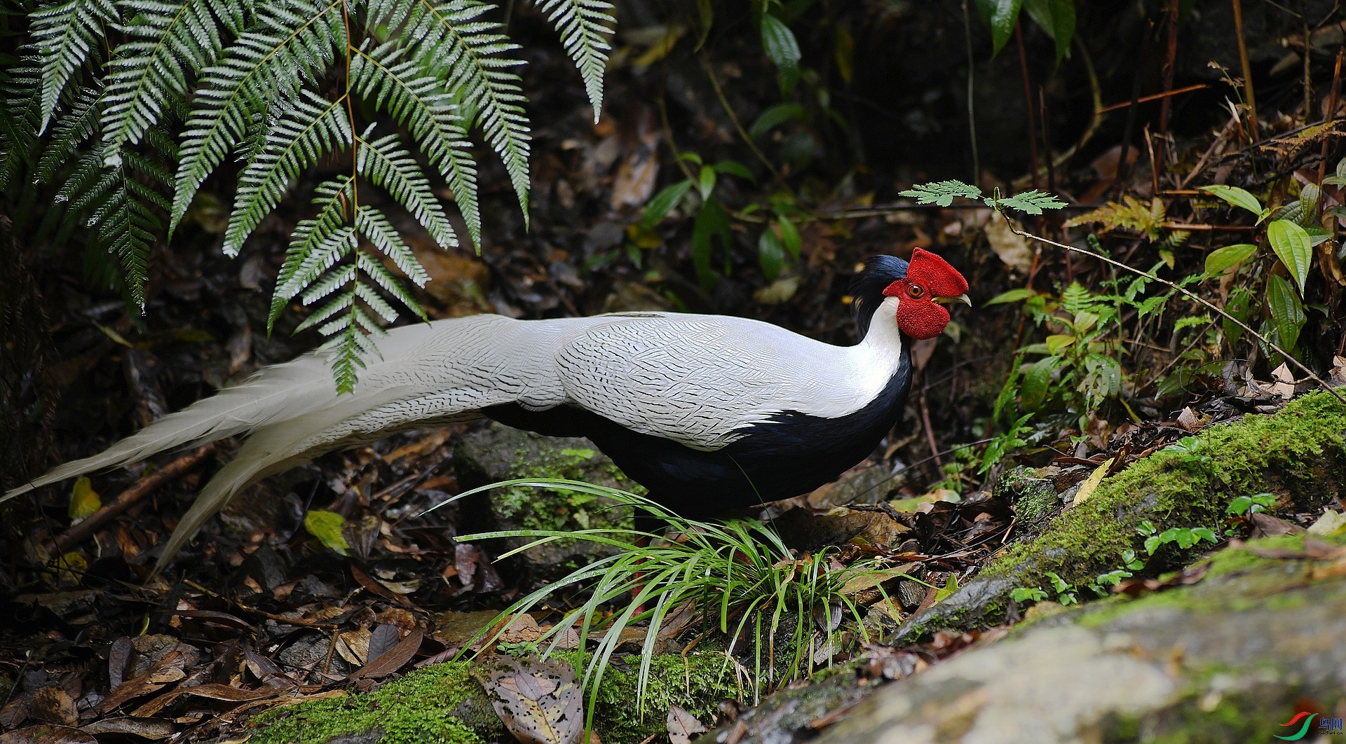 DSC_9295.jpg
