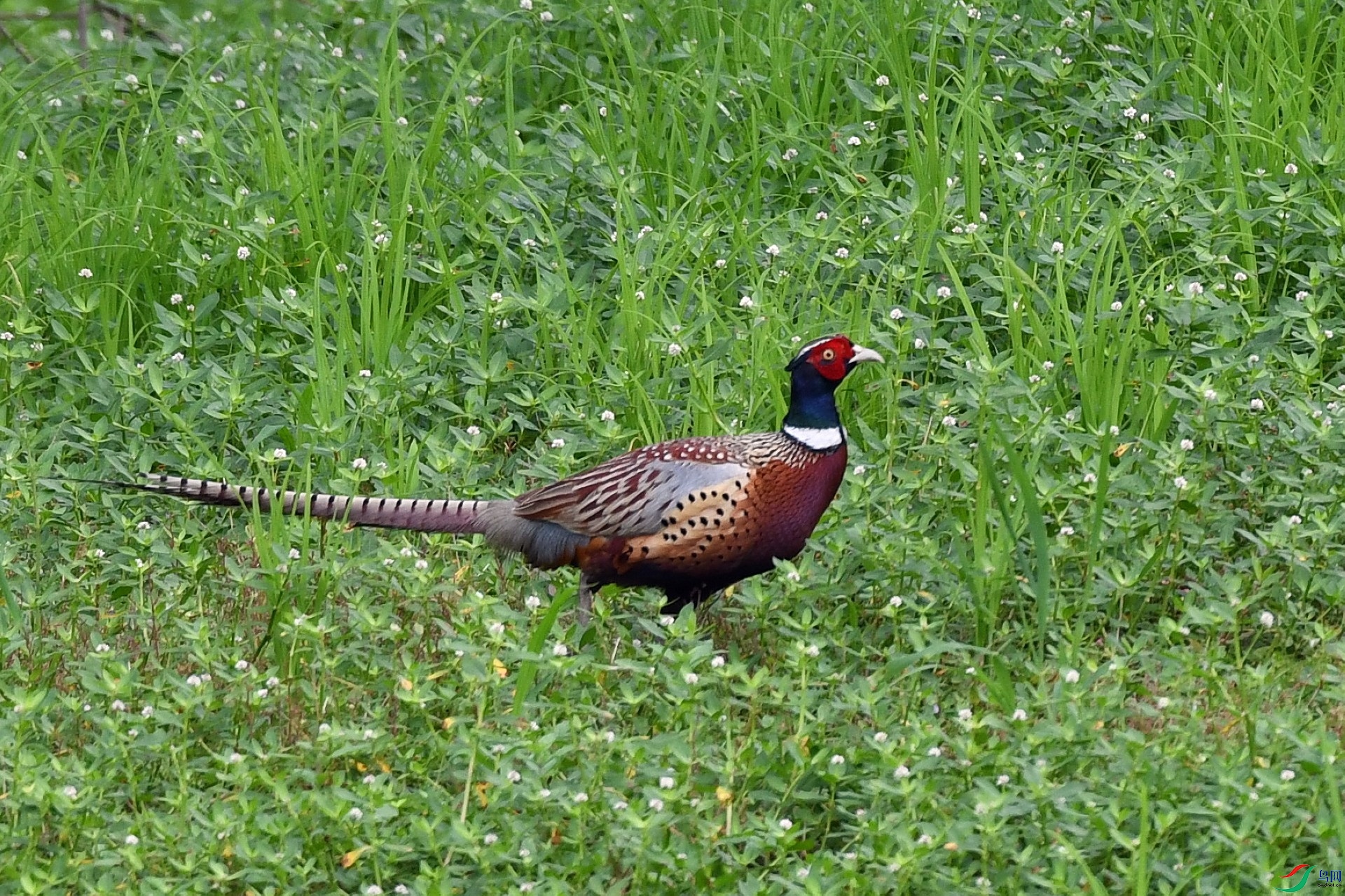 DSC_9282.jpg