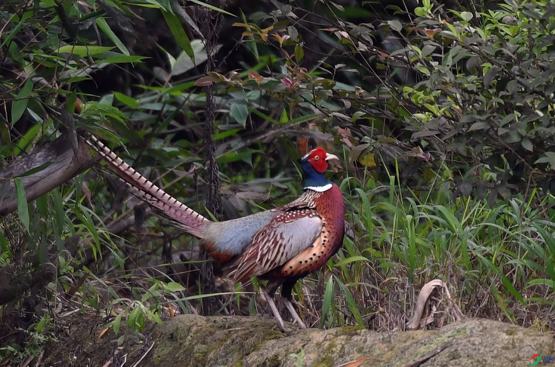 DSC_9318.jpg