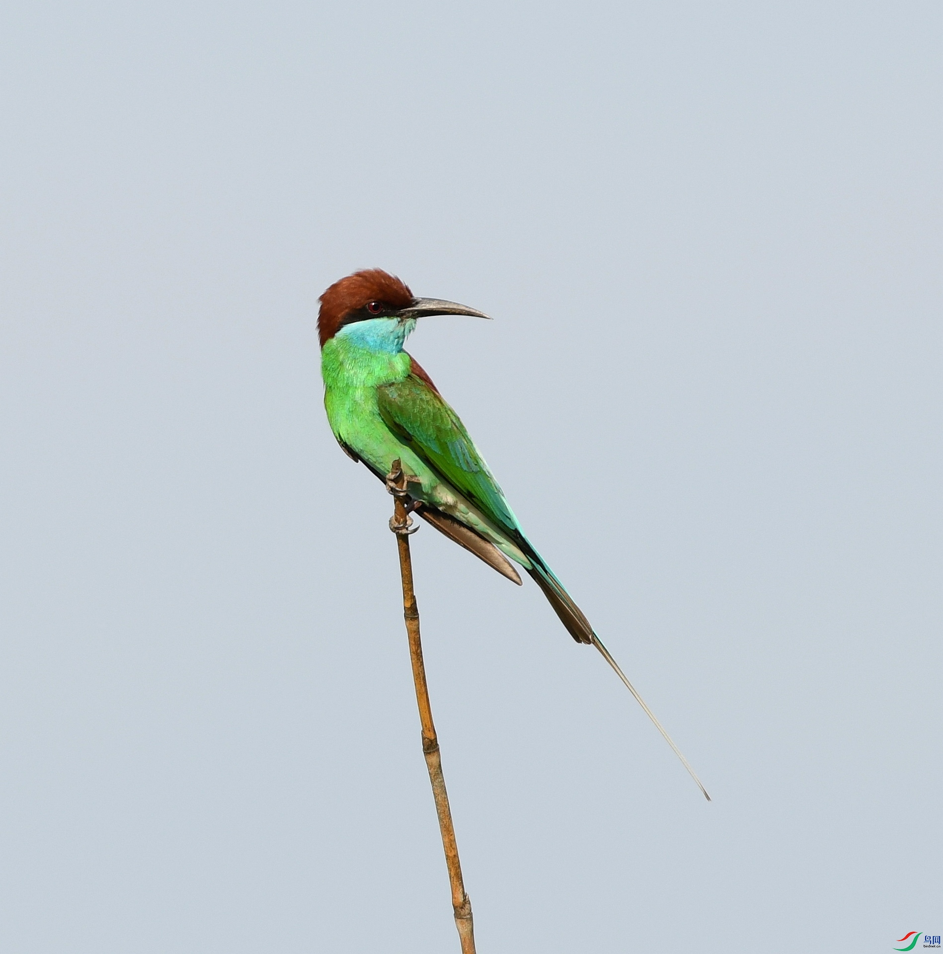 DSC_3189.jpg