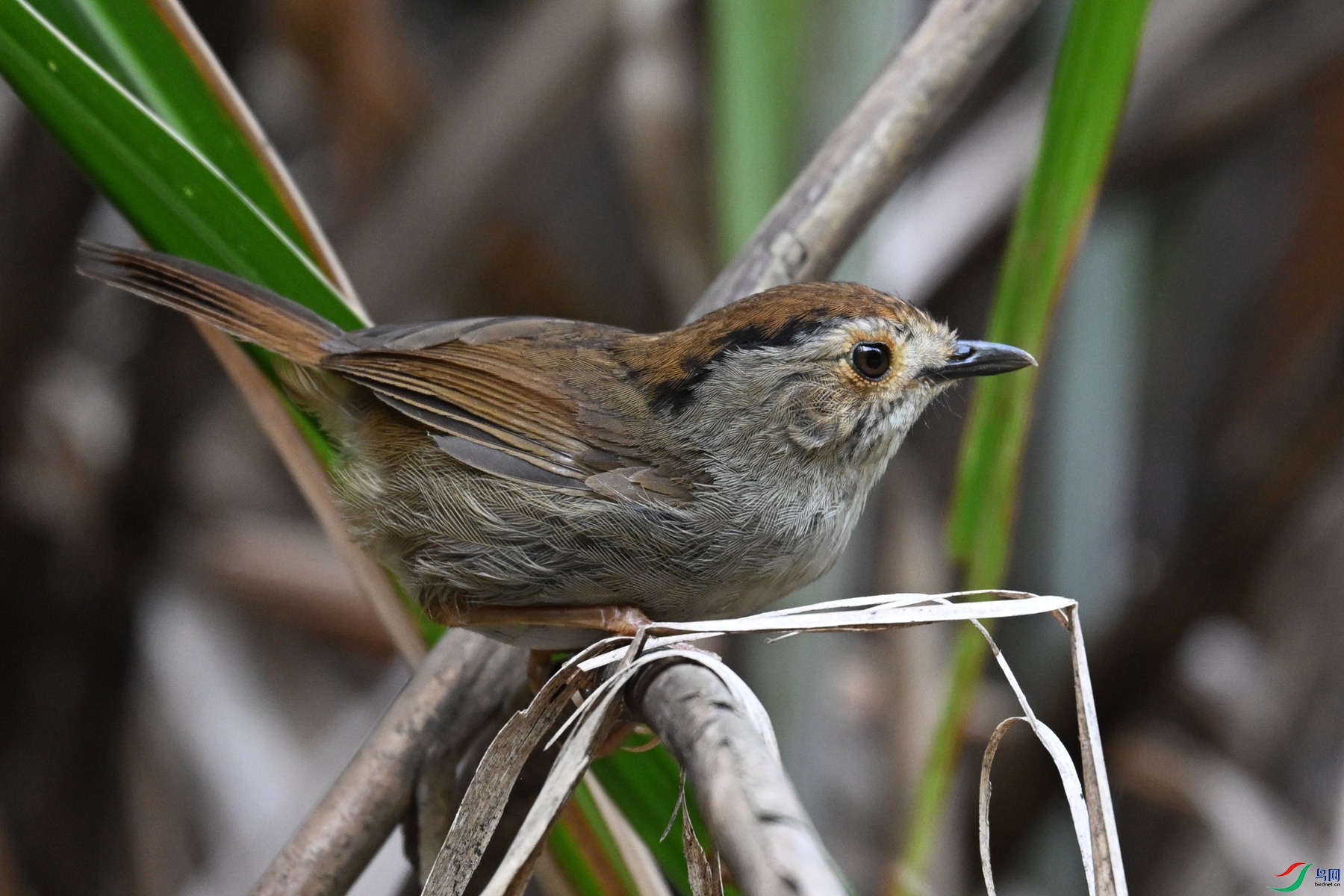 DSC_0351.JPG