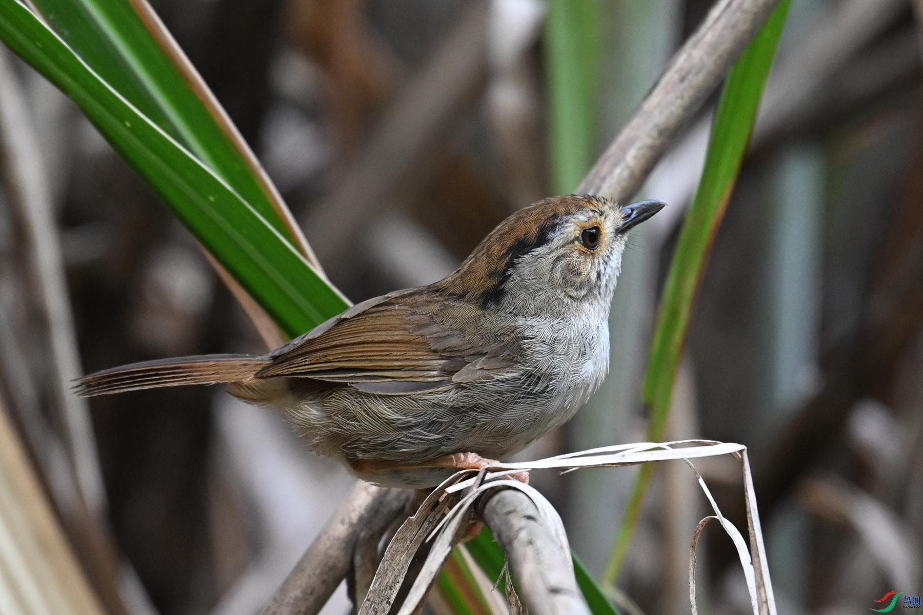 DSC_0343.JPG