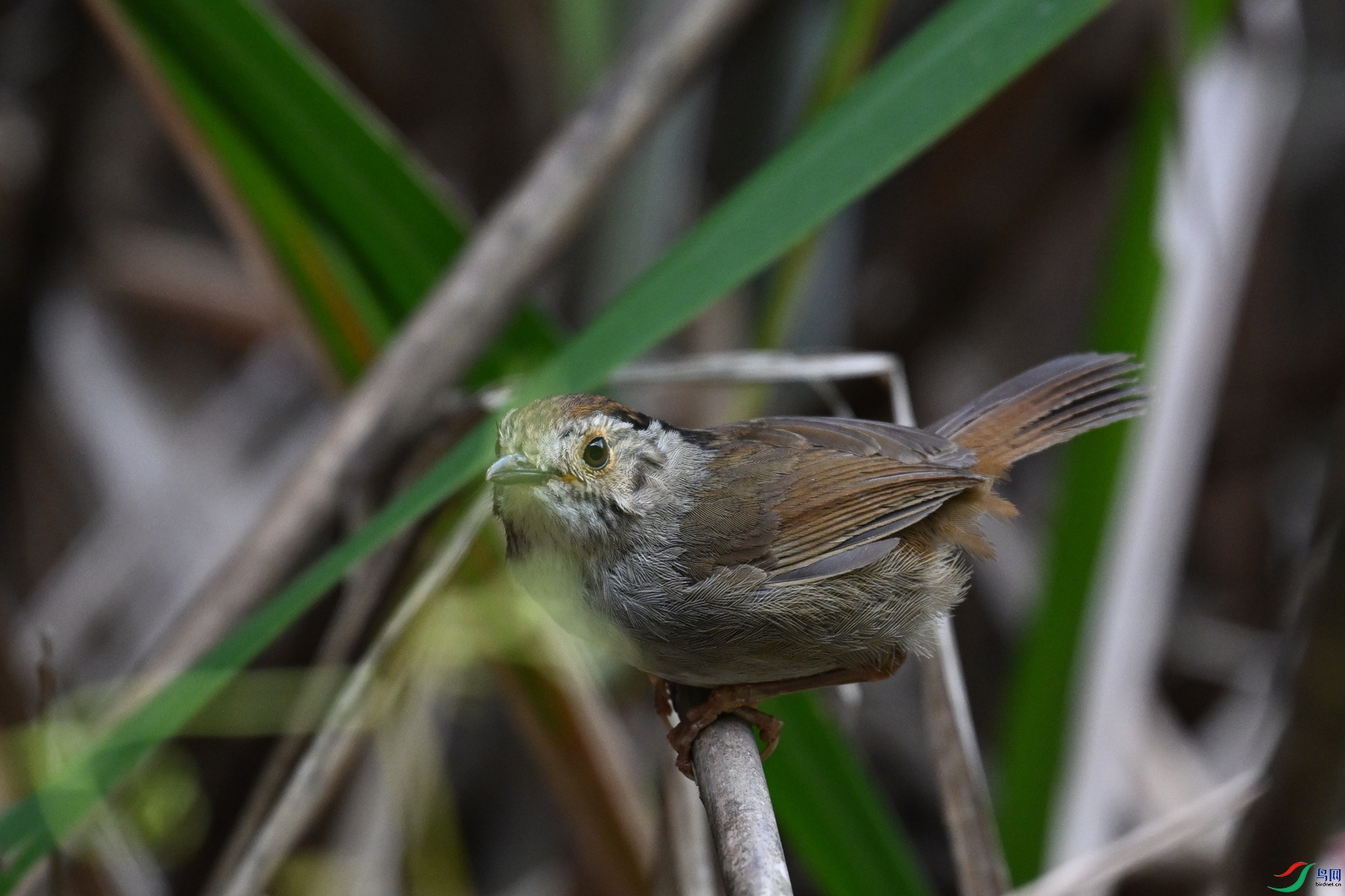 DSC_0329.JPG