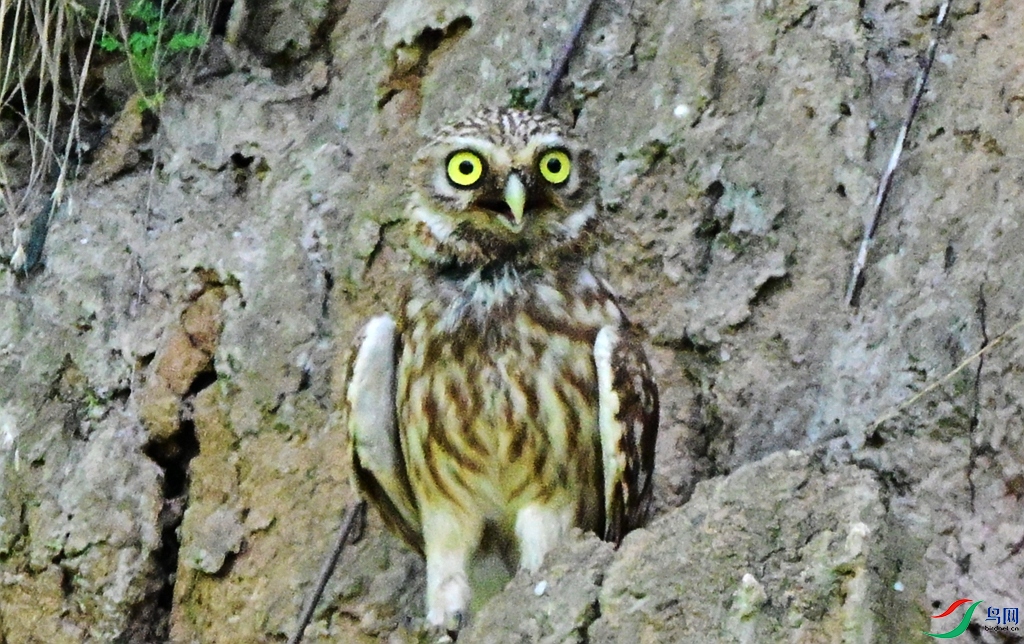 DSC_8274.JPG