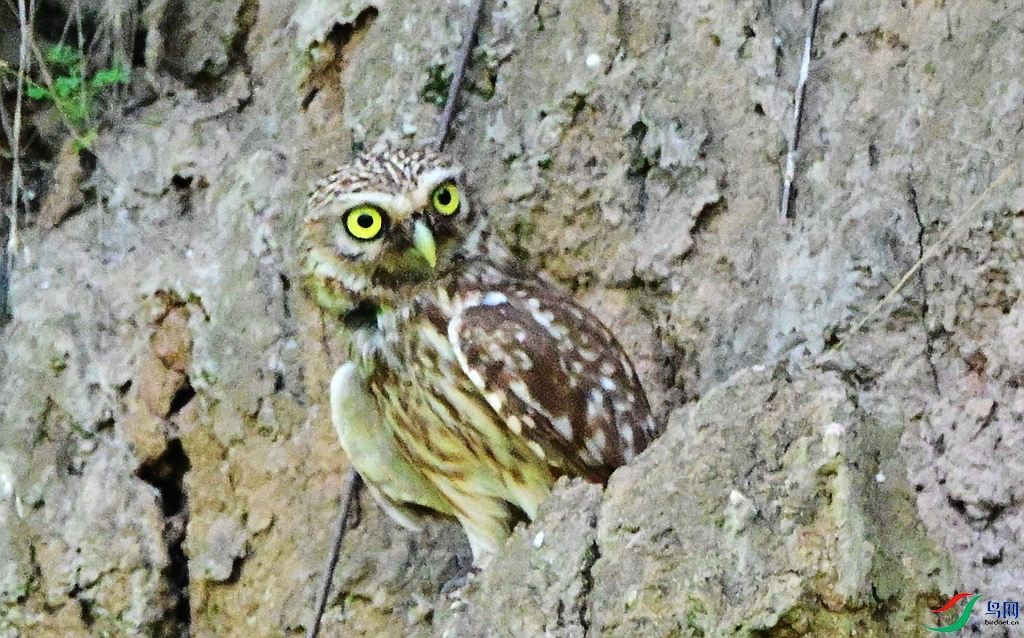 DSC_8502.JPG