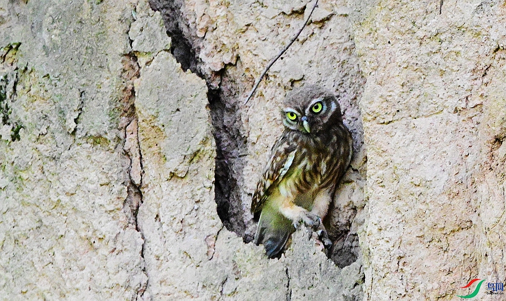 DSC_8668.JPG