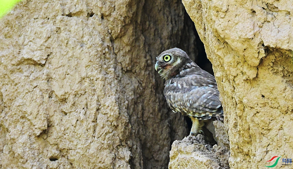 DSC_8819.JPG