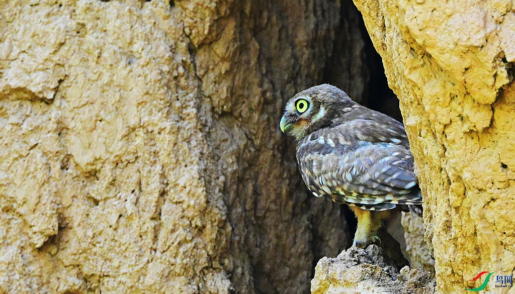 DSC_8825.JPG
