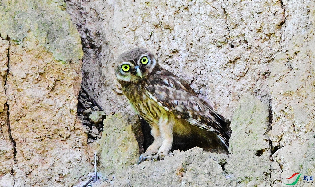 DSC_8857.JPG
