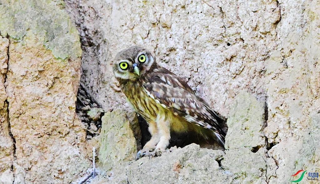 DSC_8858.JPG