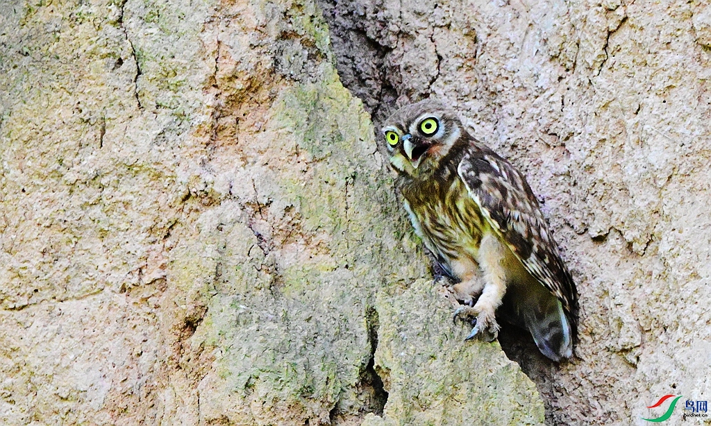 DSC_8902.JPG