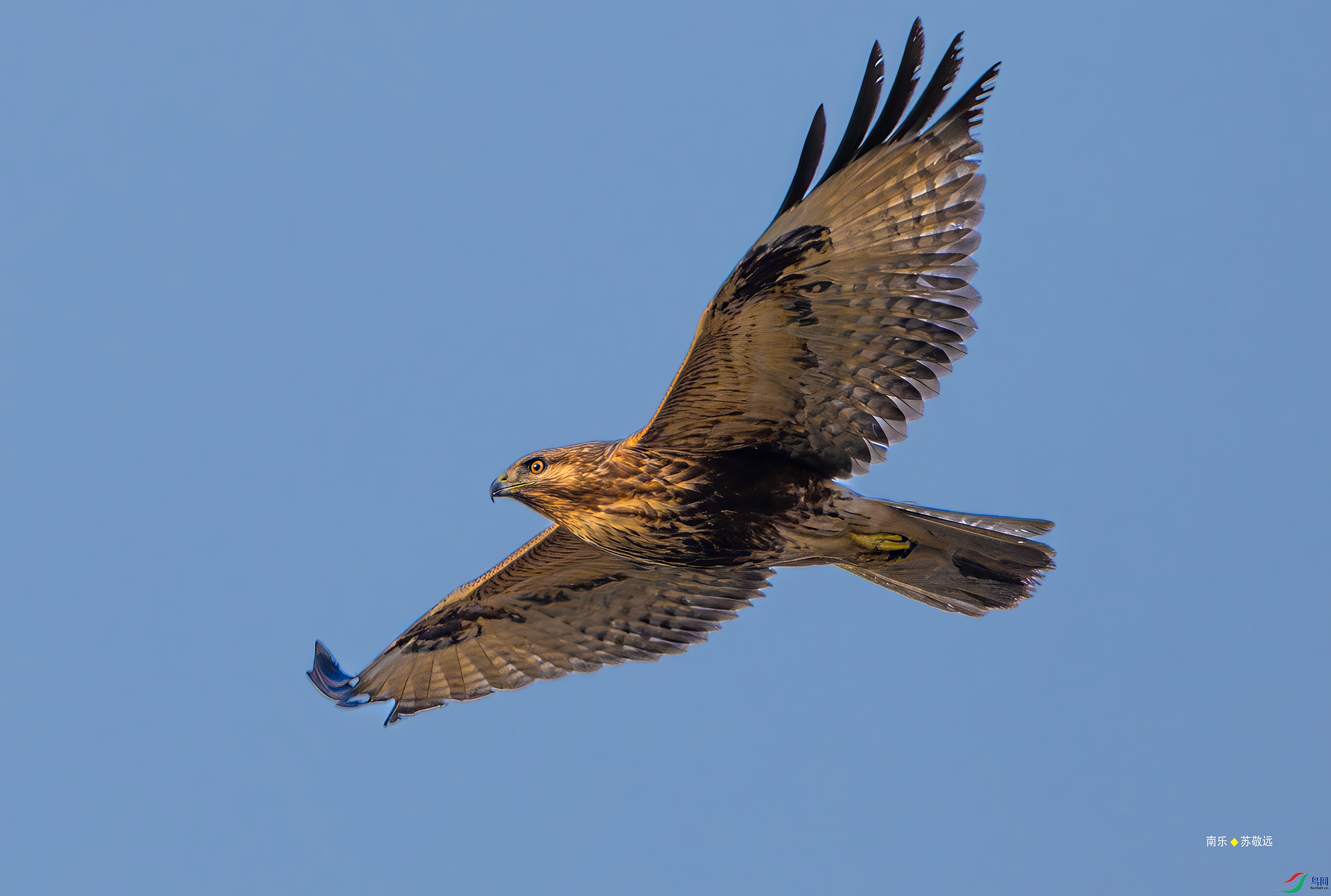 _DSC9012-DxO_С.jpg