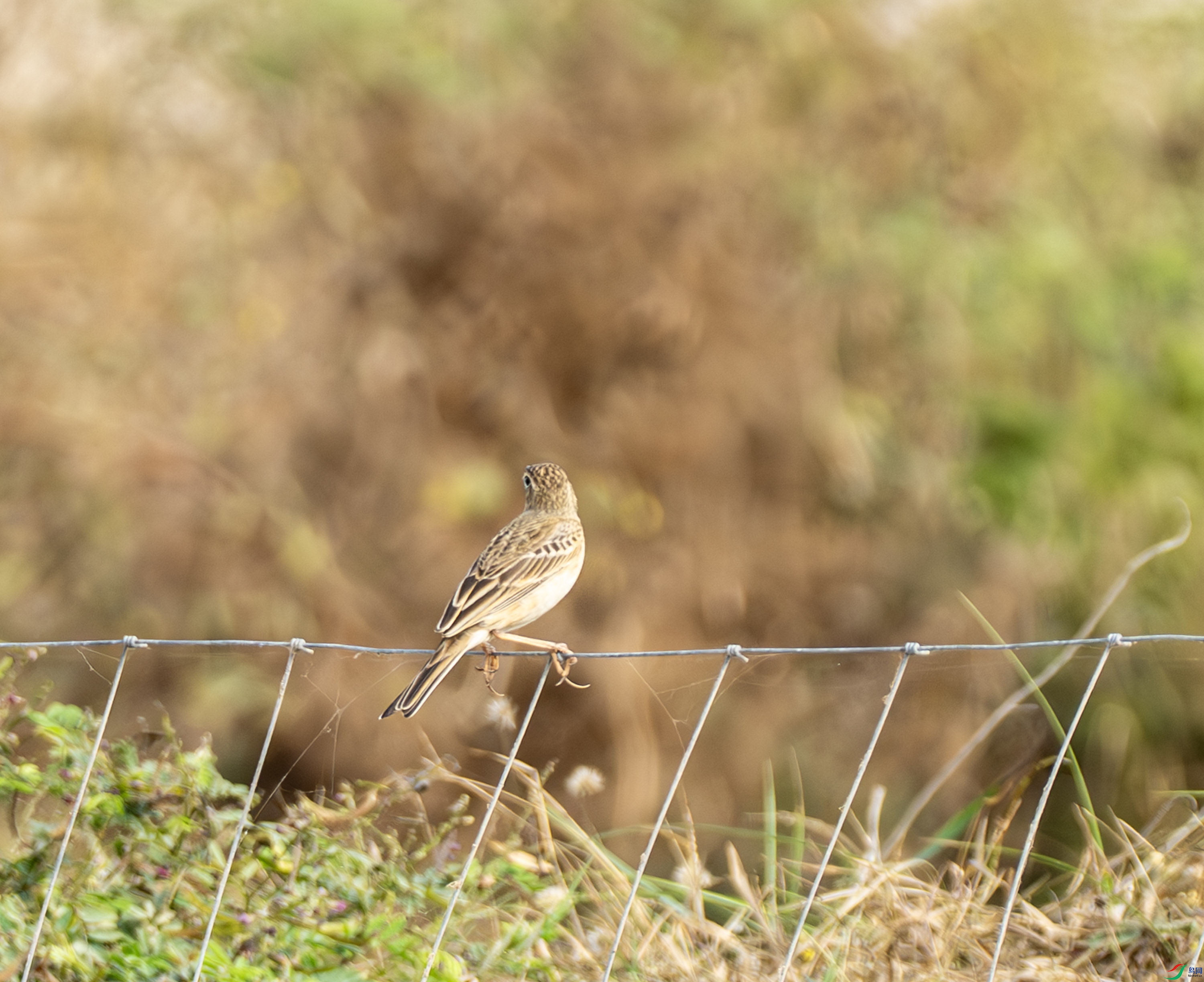 ������-04-1.jpg