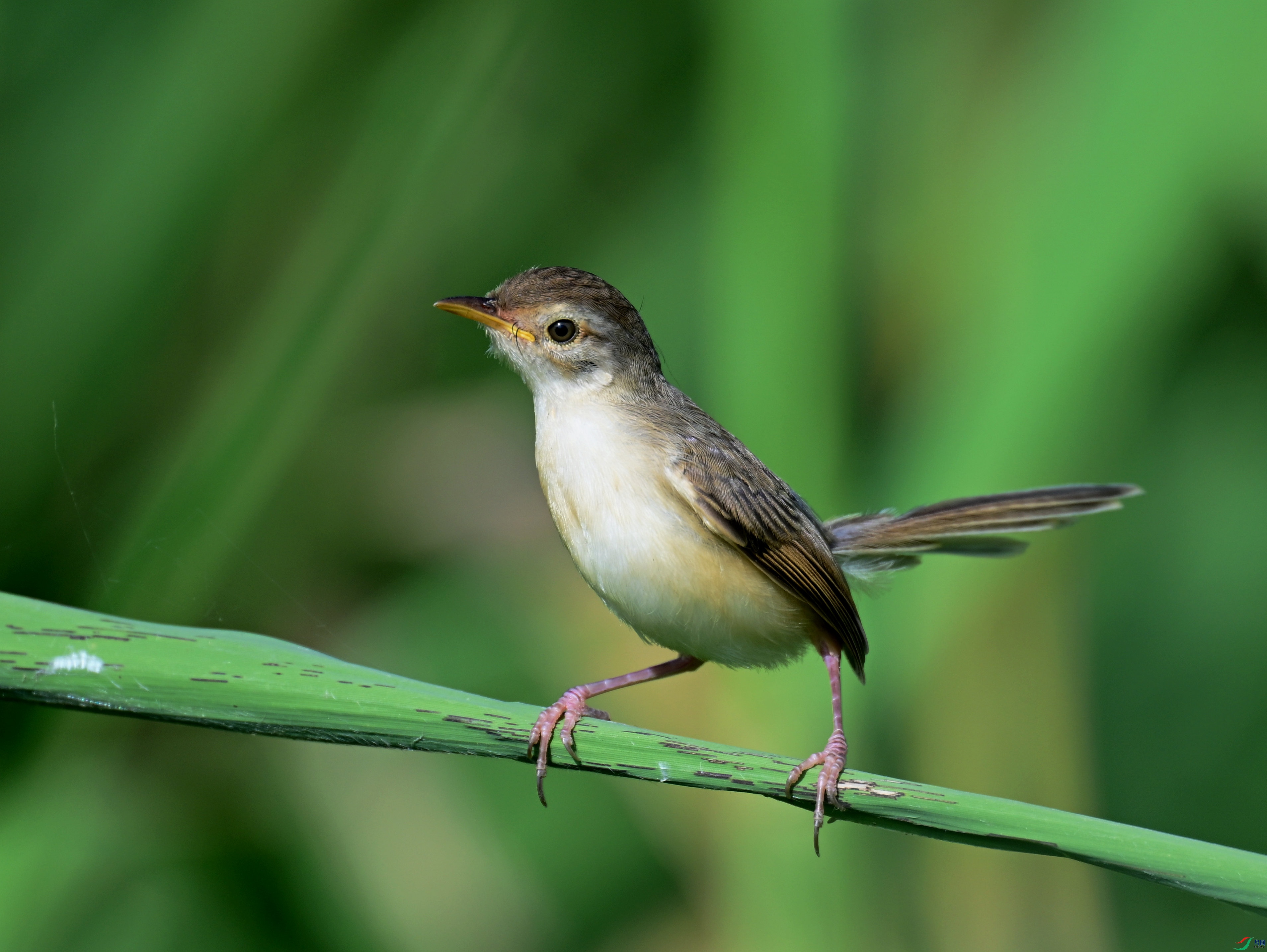 DSC_5142.jpg