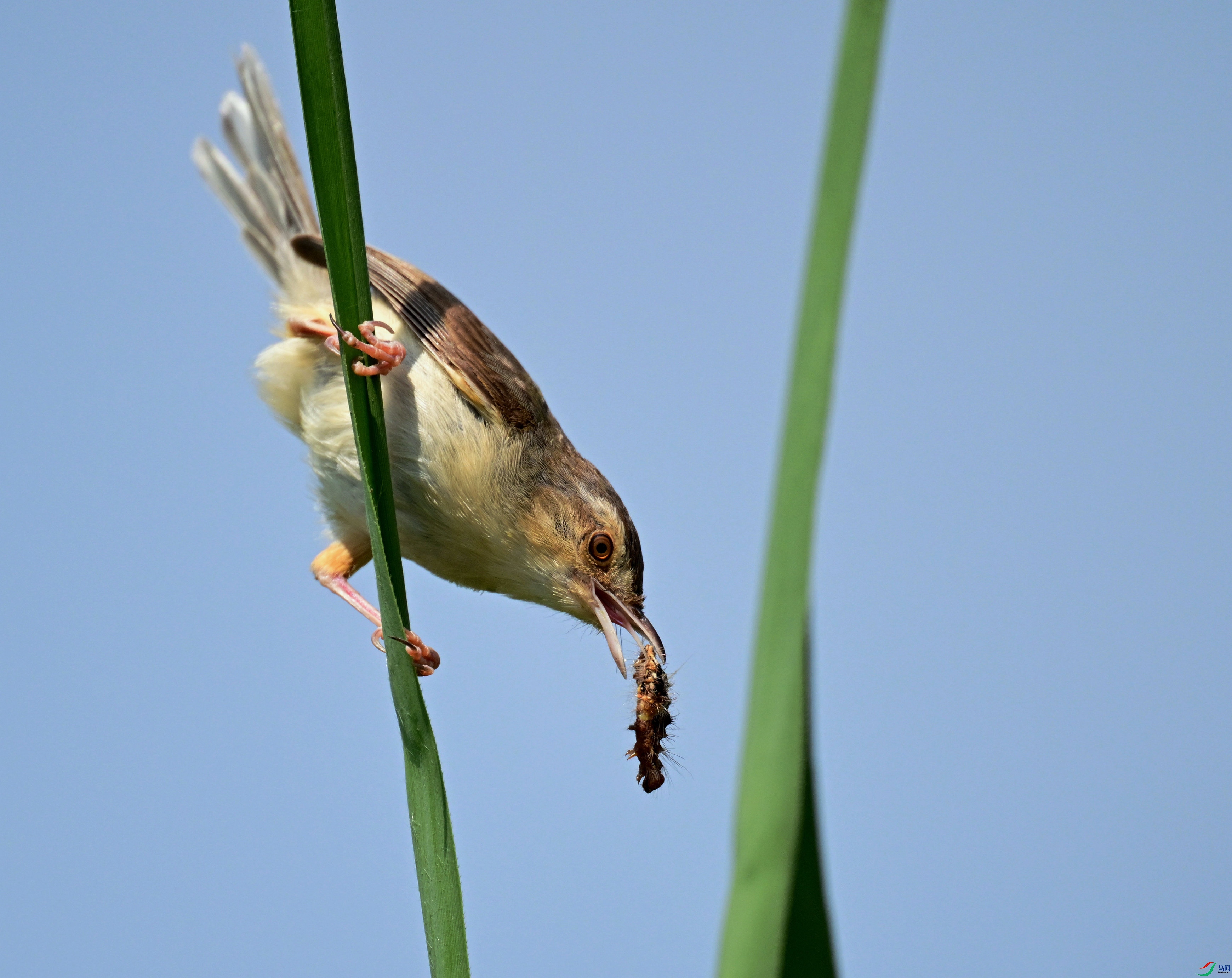 DSC_5367_����.jpg