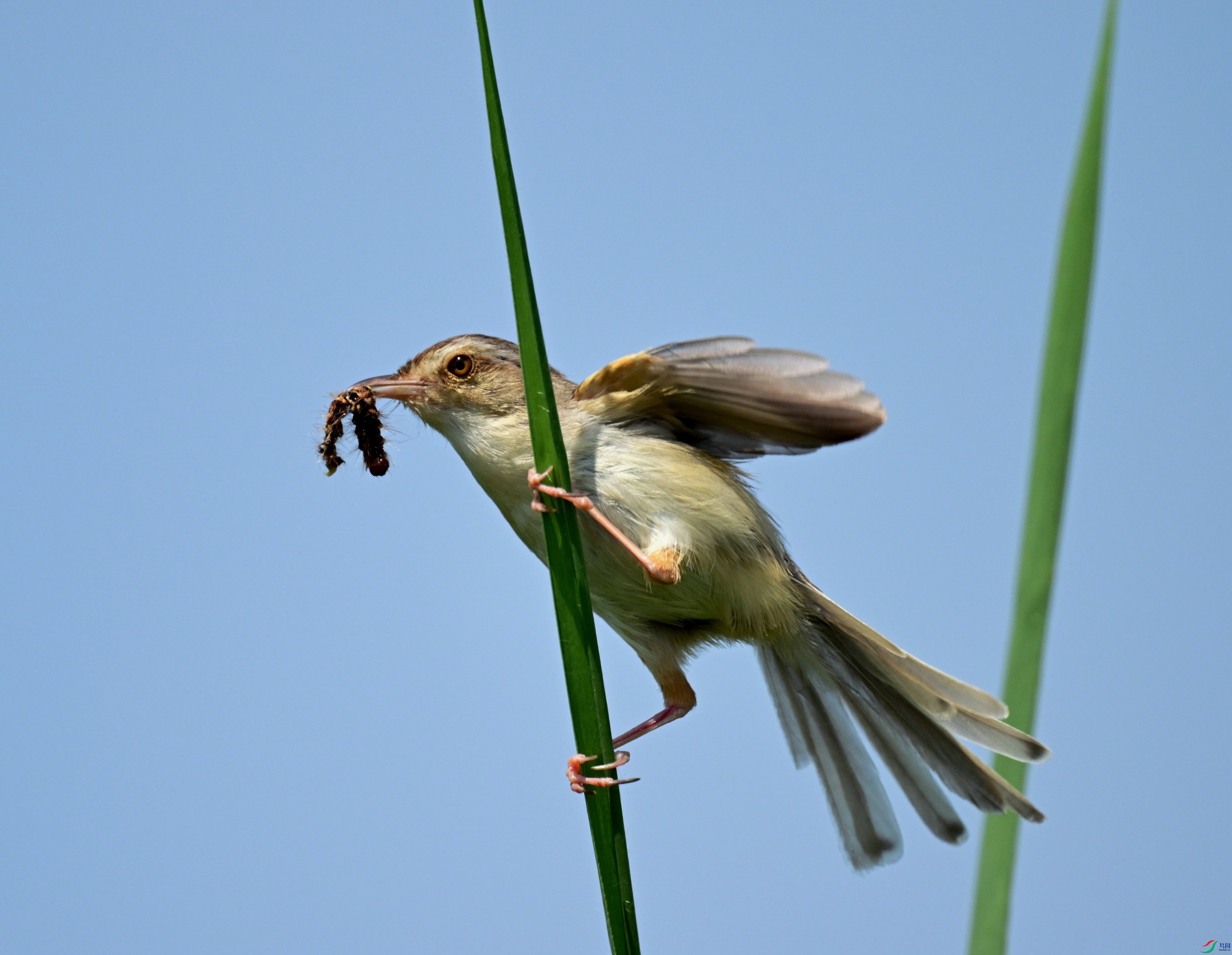 DSC_5427.jpg