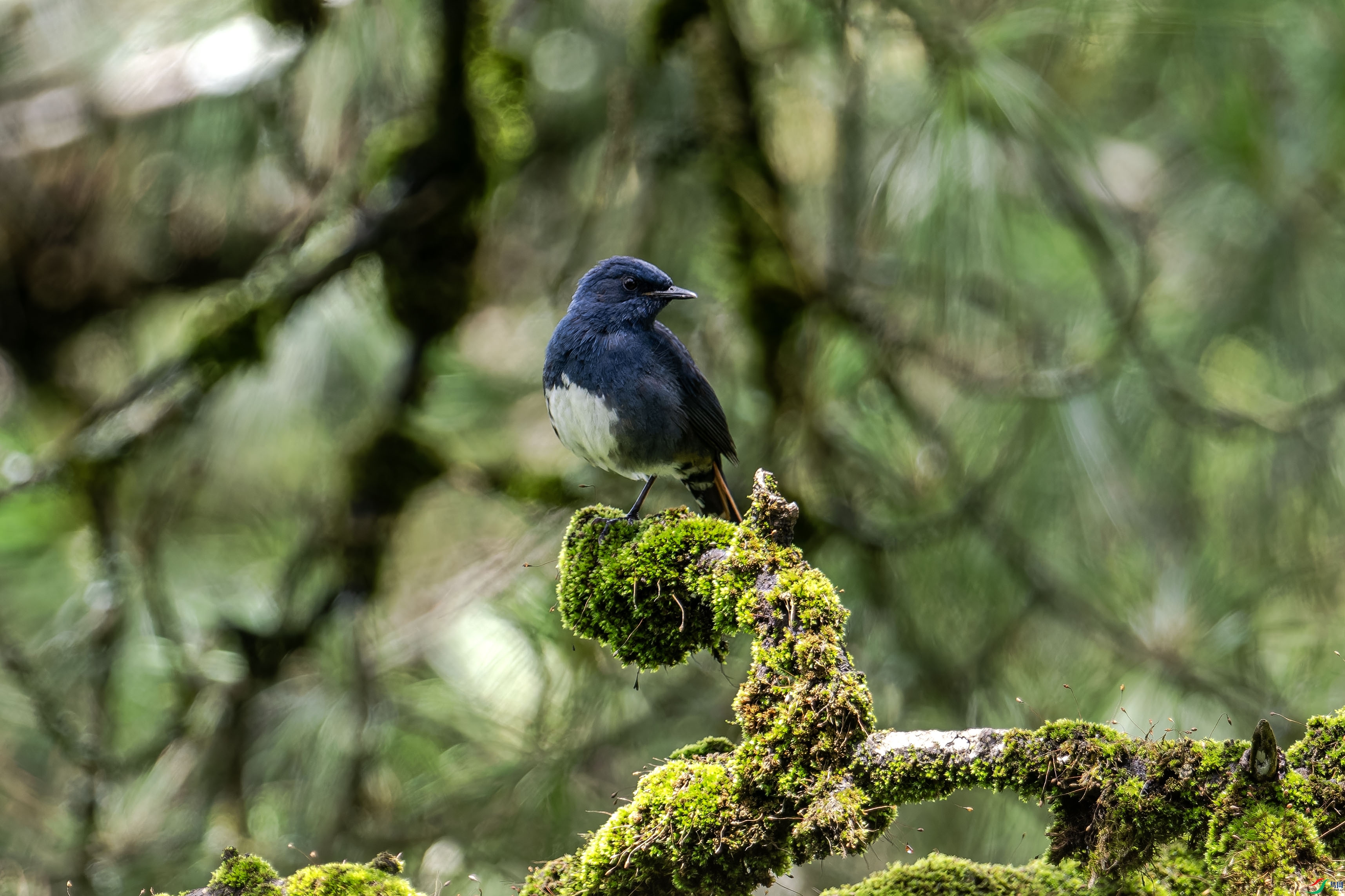DSC_5235-NEF_DxO_DeepPRIMEXD ����.jpg