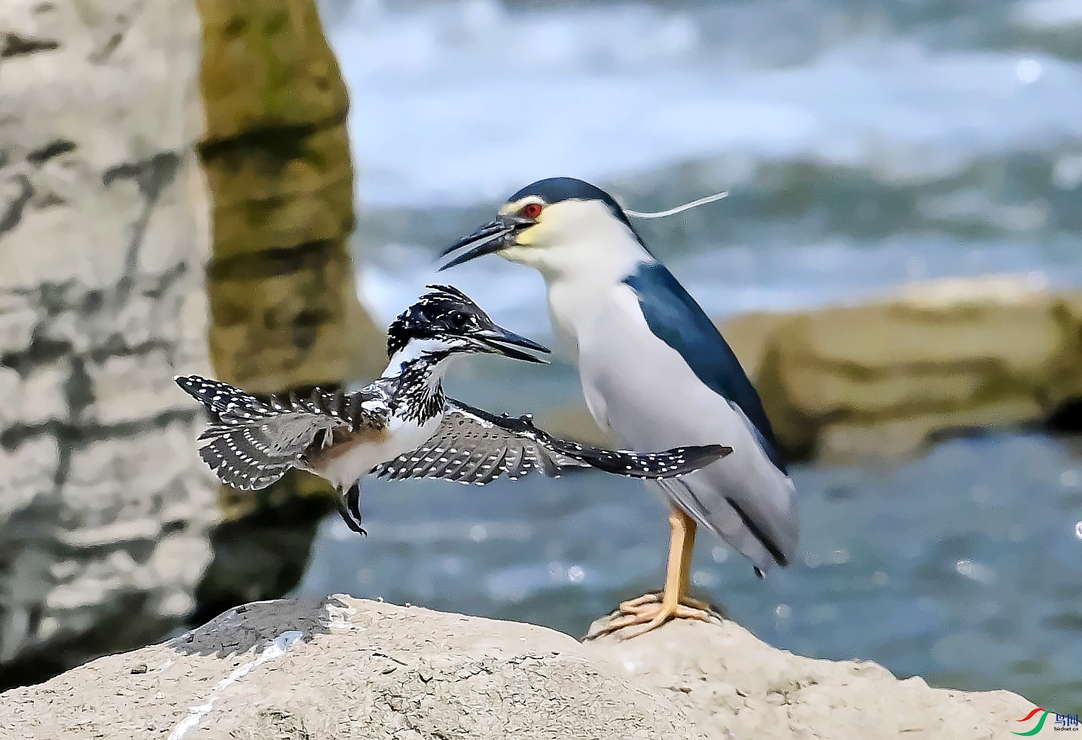 DSC_0415���ط�.jpg