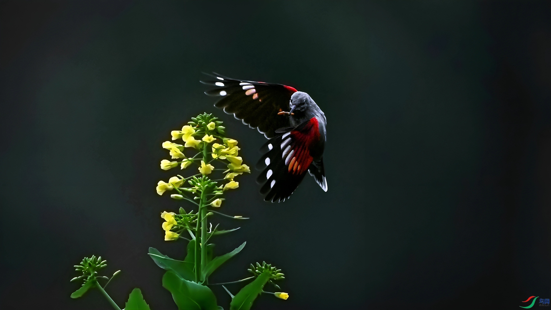 DSC_7599_����.jpg����_����_����_����_����.jpg