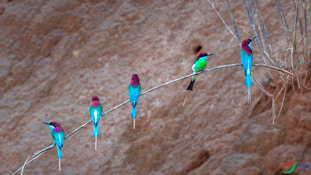 _DSC8762.jpg