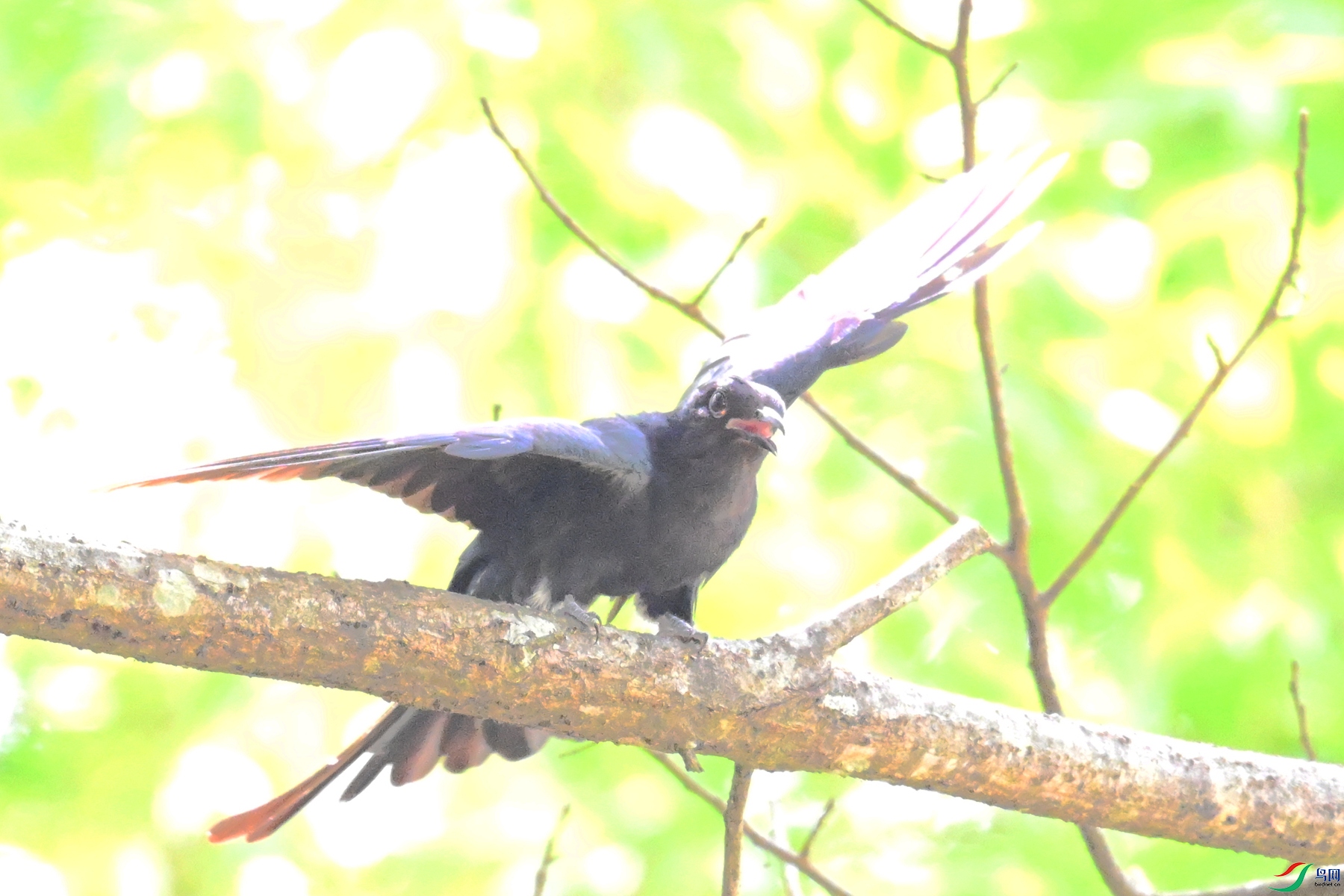 DSC_0726.JPG