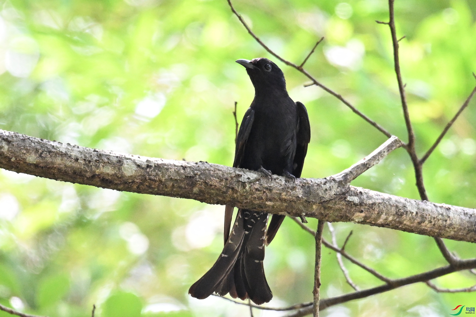 DSC_0762.JPG