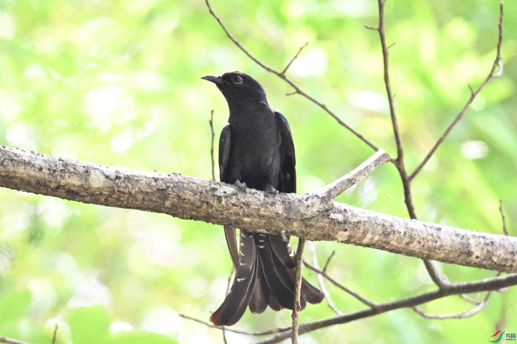 DSC_0771.JPG