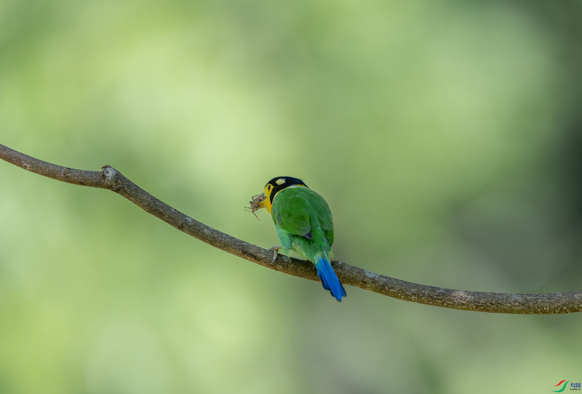 DSC_4861-1.jpg