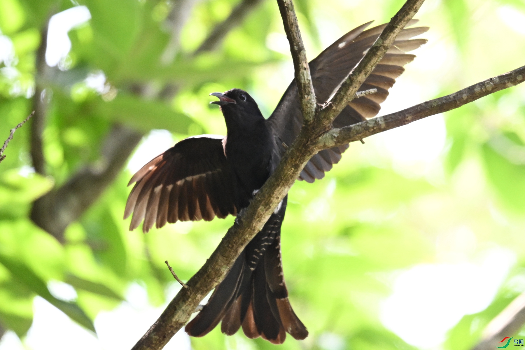 DSC_0815.JPG