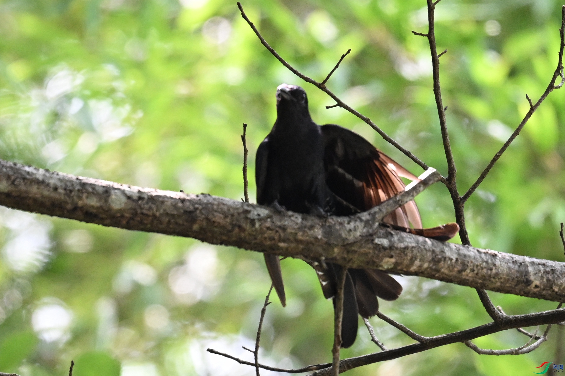 DSC_0735.JPG