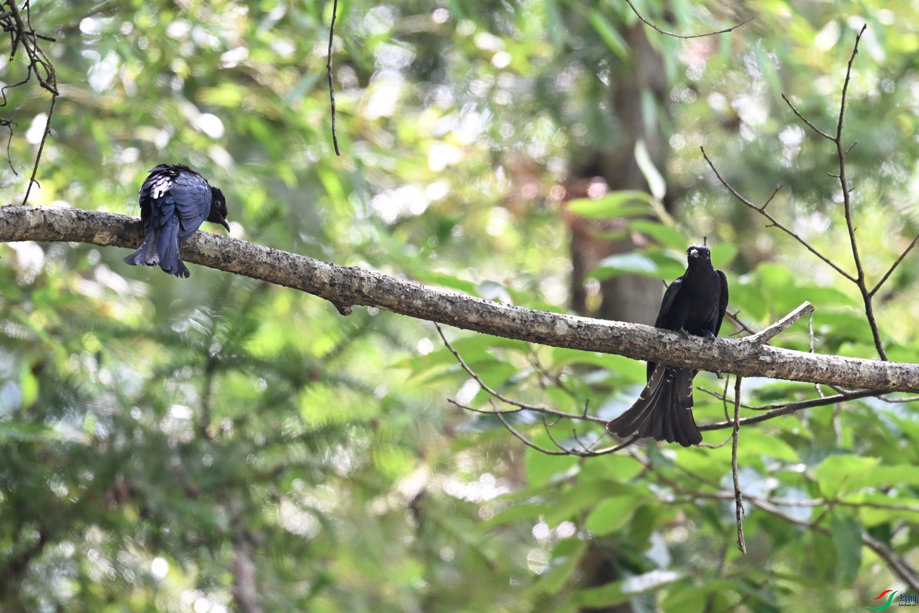 DSC_0778.JPG