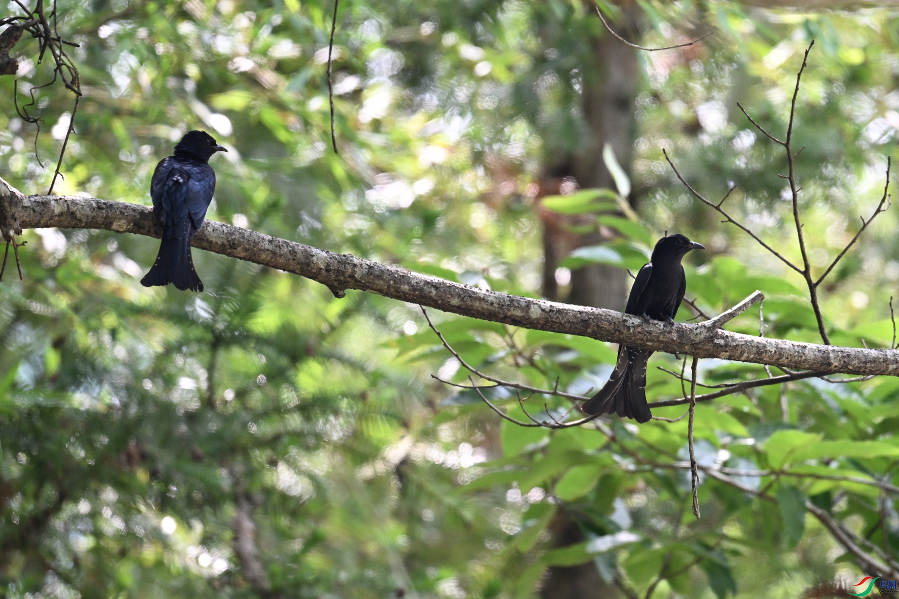 DSC_0781.JPG