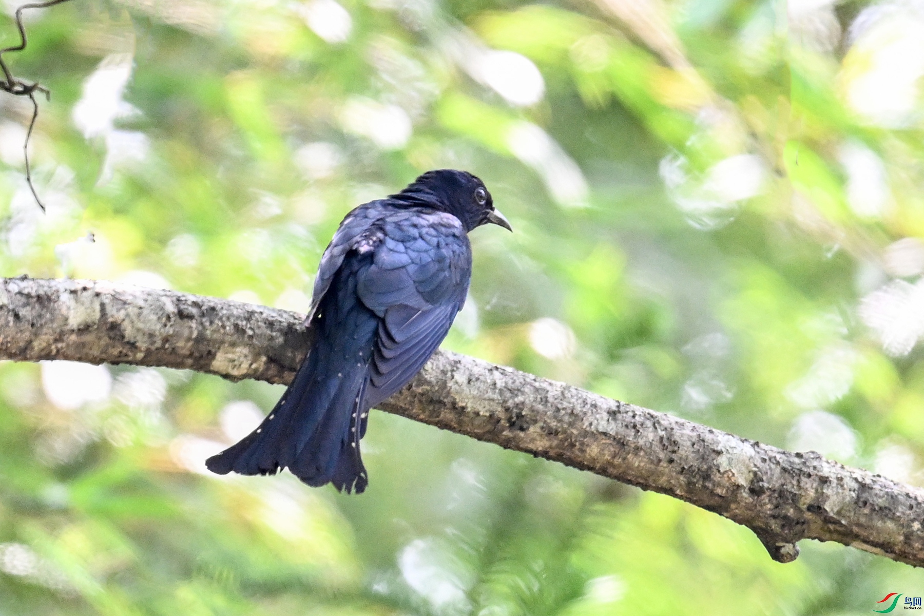 DSC_0804.JPG