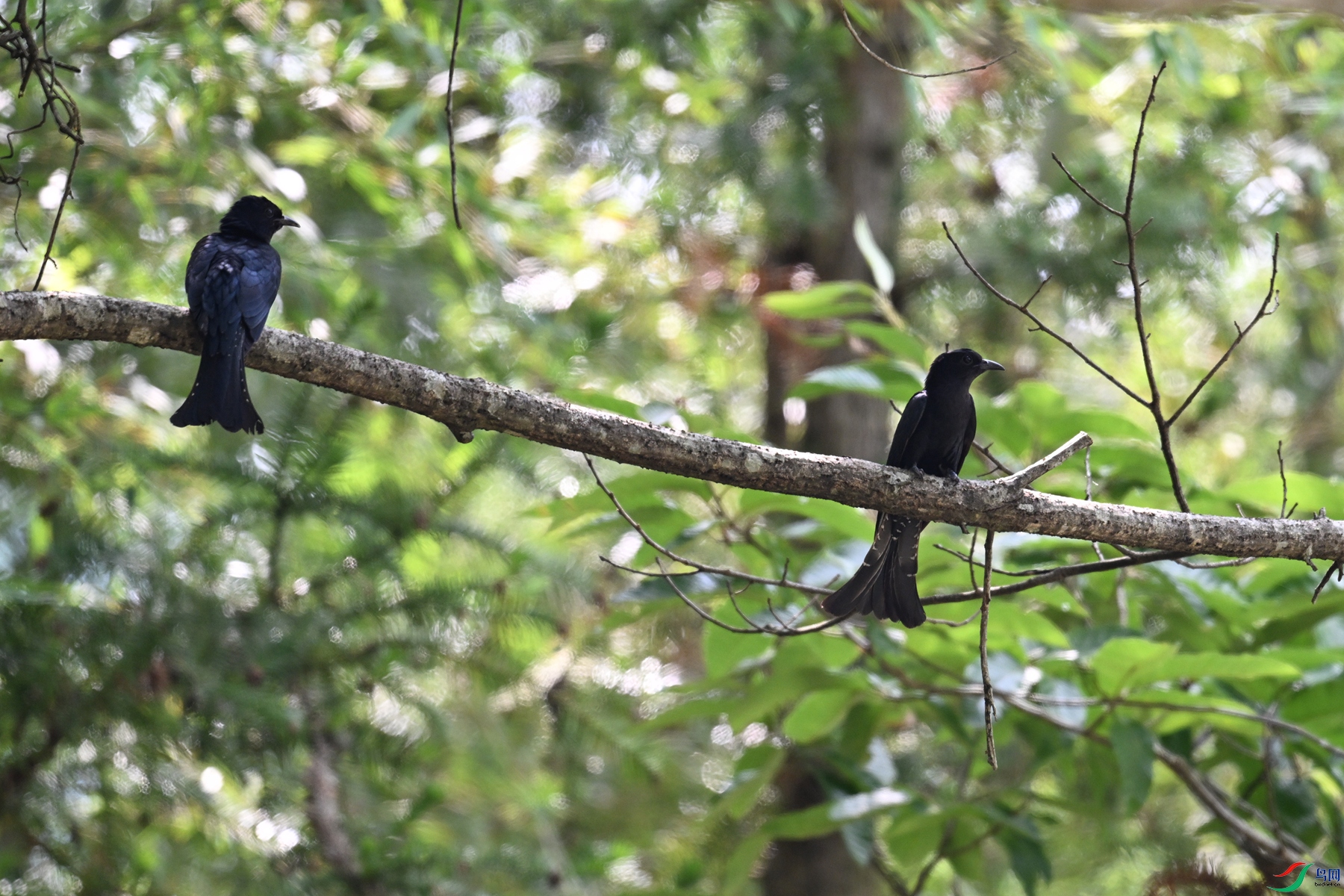 DSC_0782.JPG