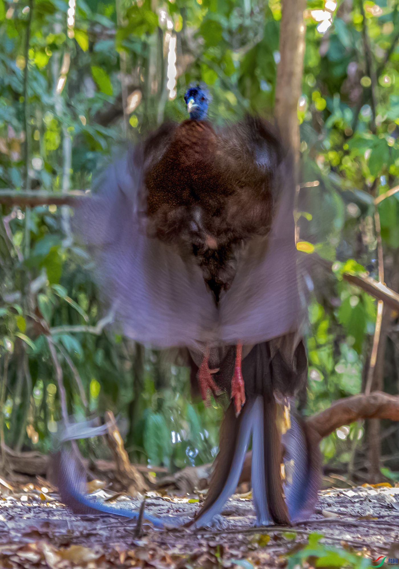 DSC_9100.jpg