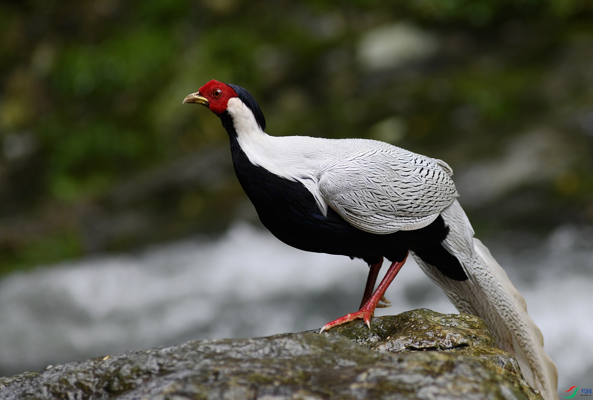 DSC_4404.jpg