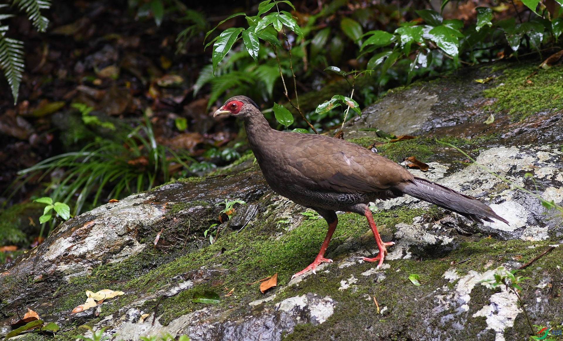 DSC_4247.jpg