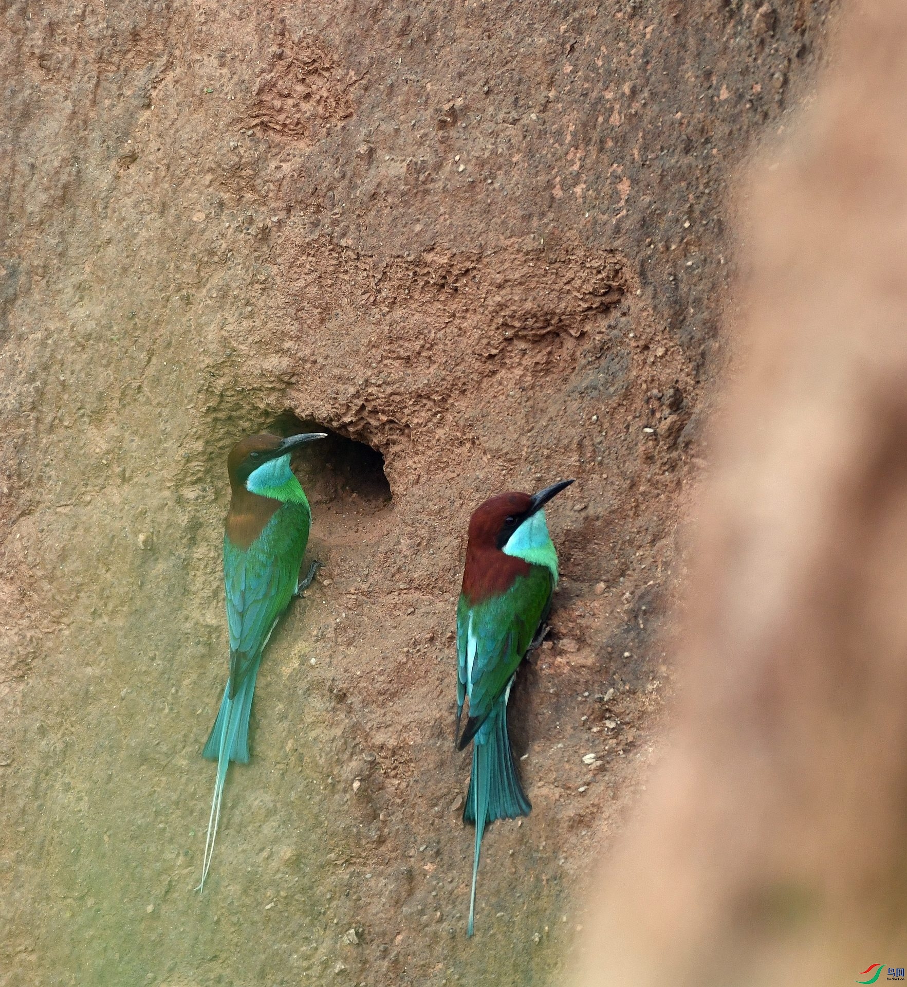 DSC_0241.jpg