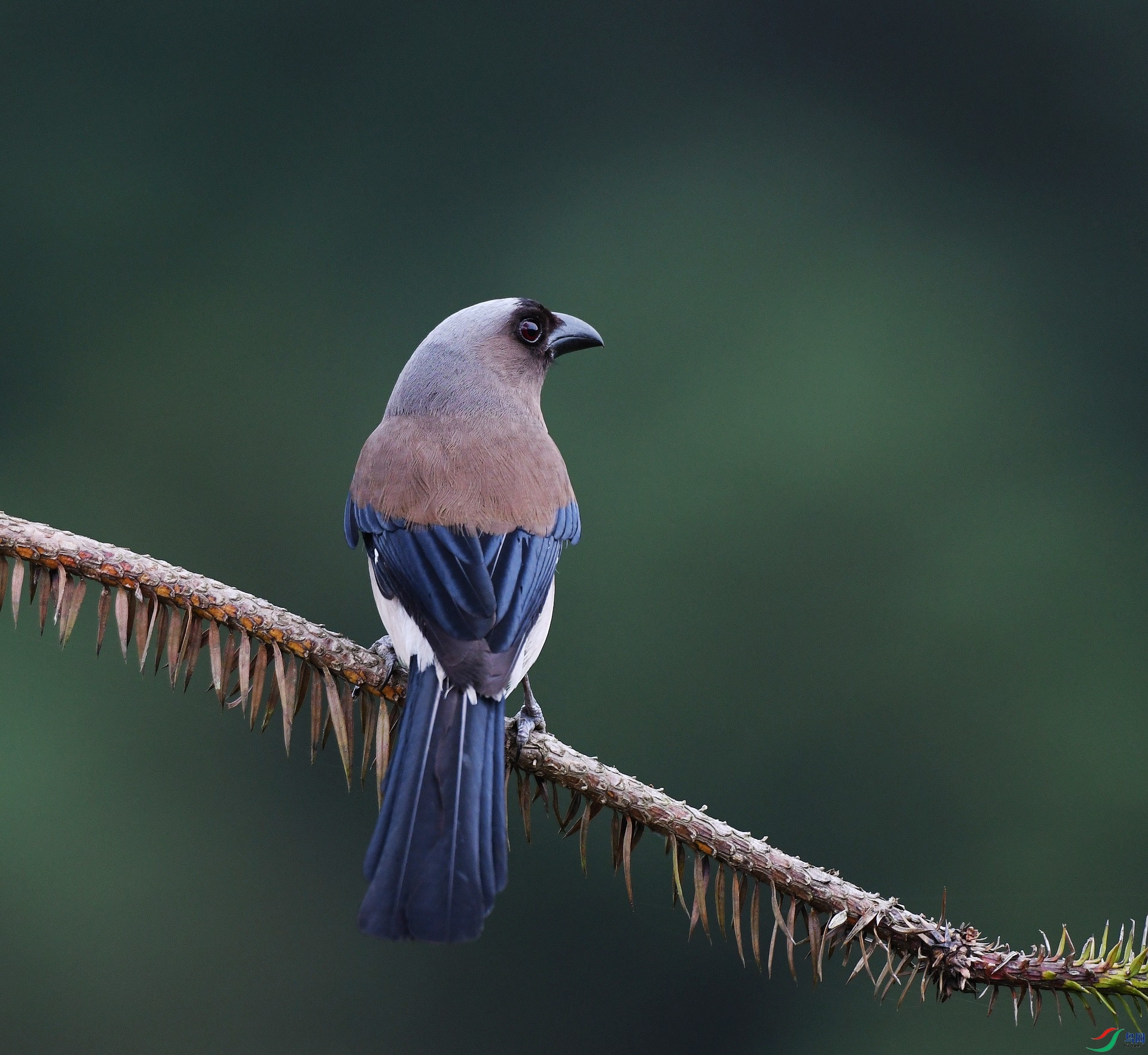 DSC_3518.jpg