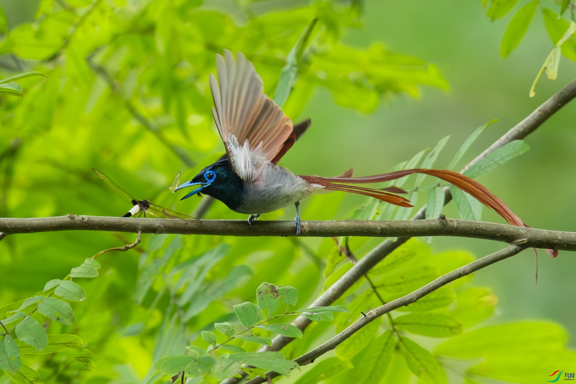 DSC_6838.jpg