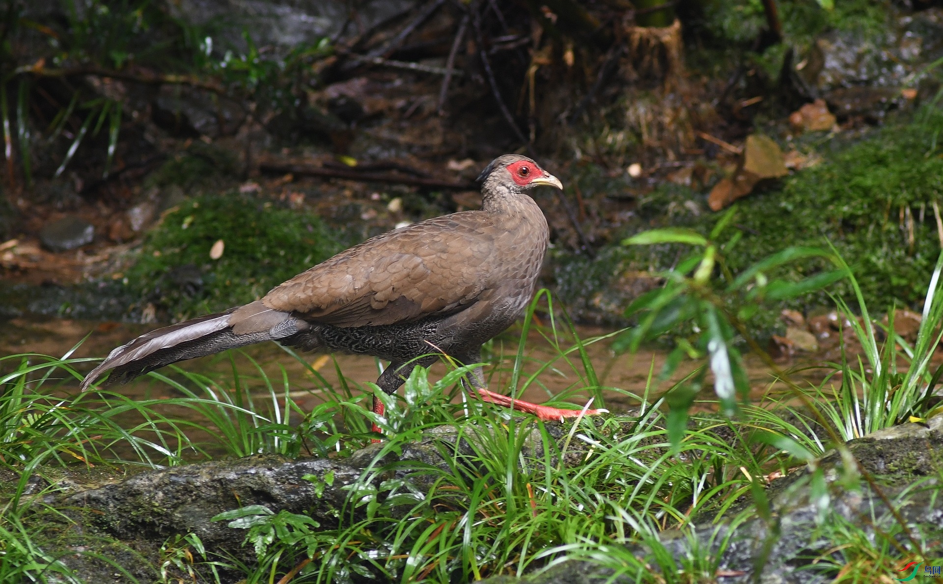 DSC_4258.jpg
