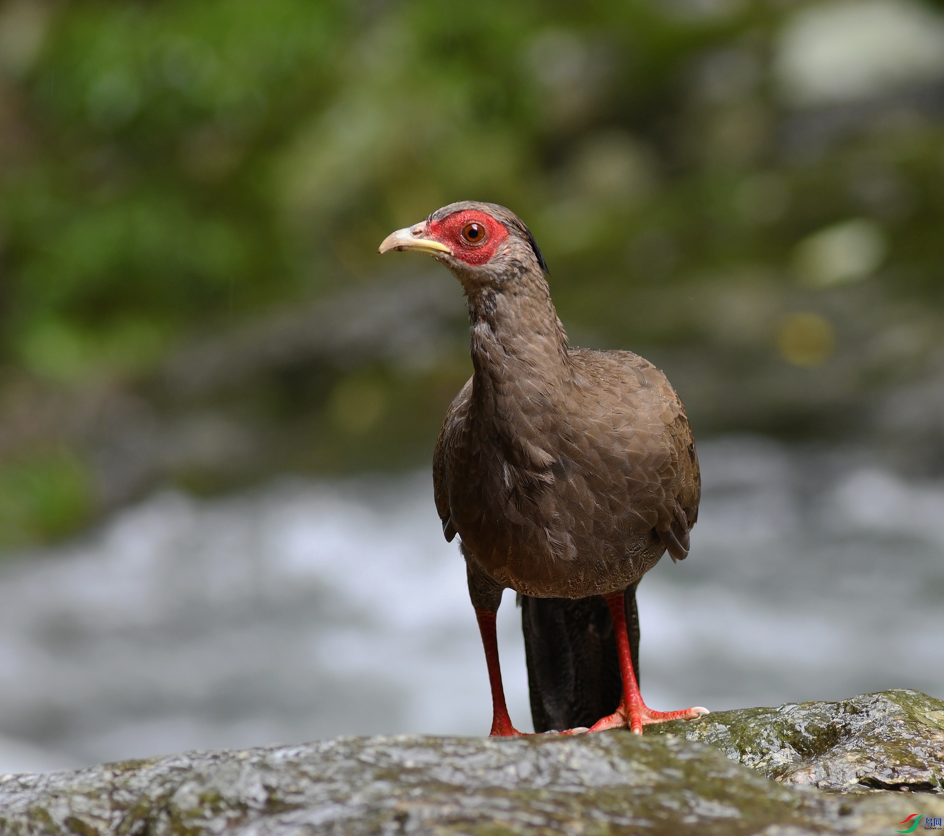 DSC_4277.jpg