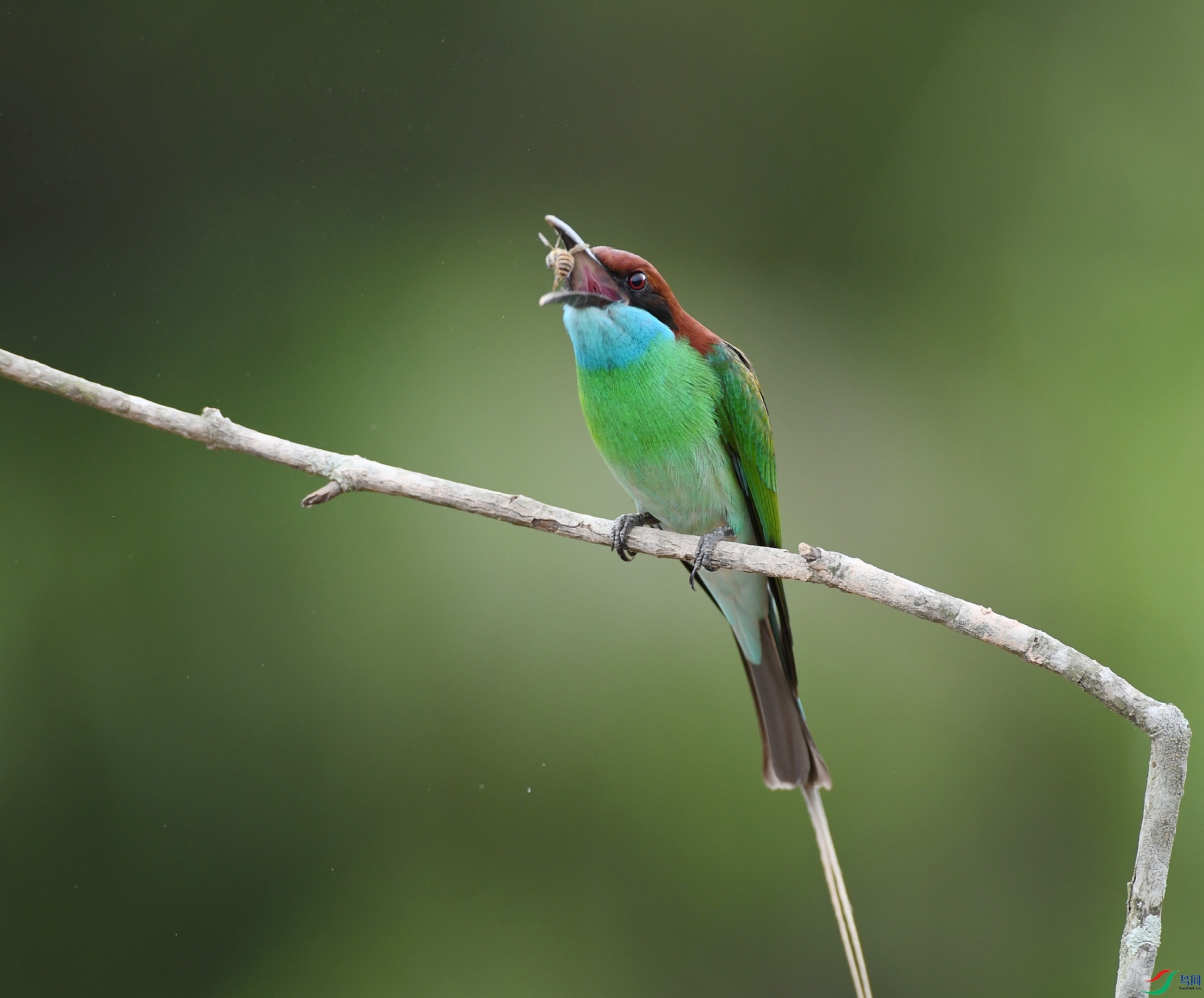 DSC_0132.jpg