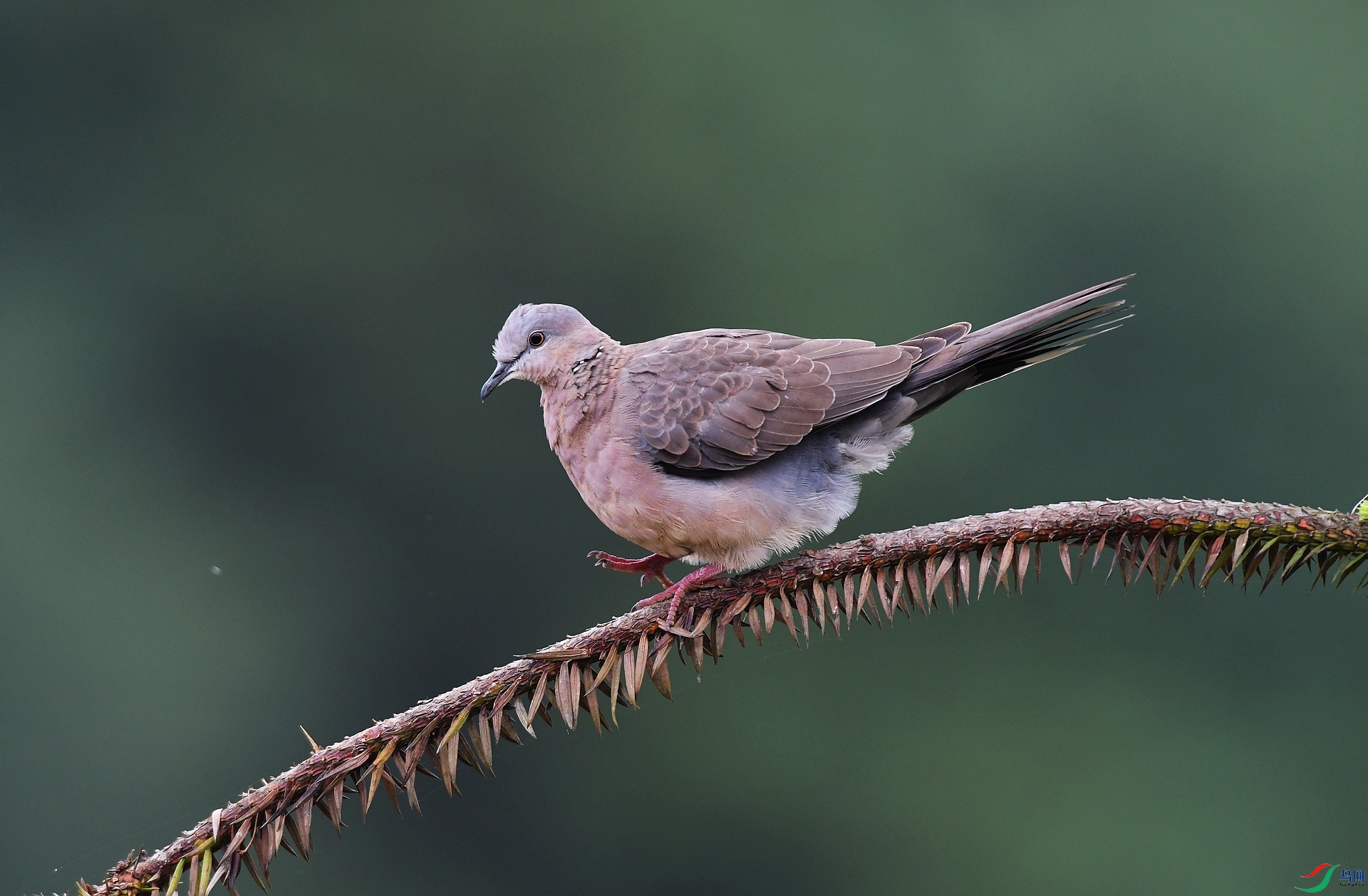 DSC_3581.jpg
