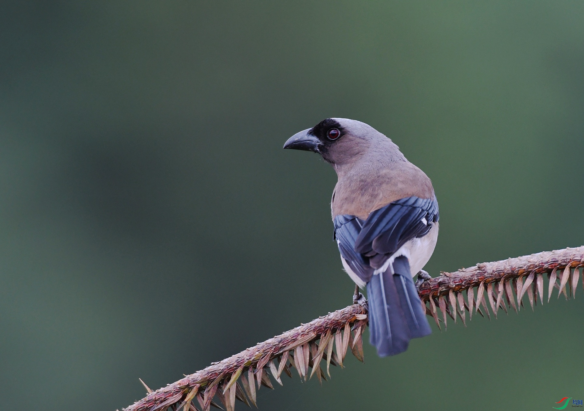 DSC_3526.jpg