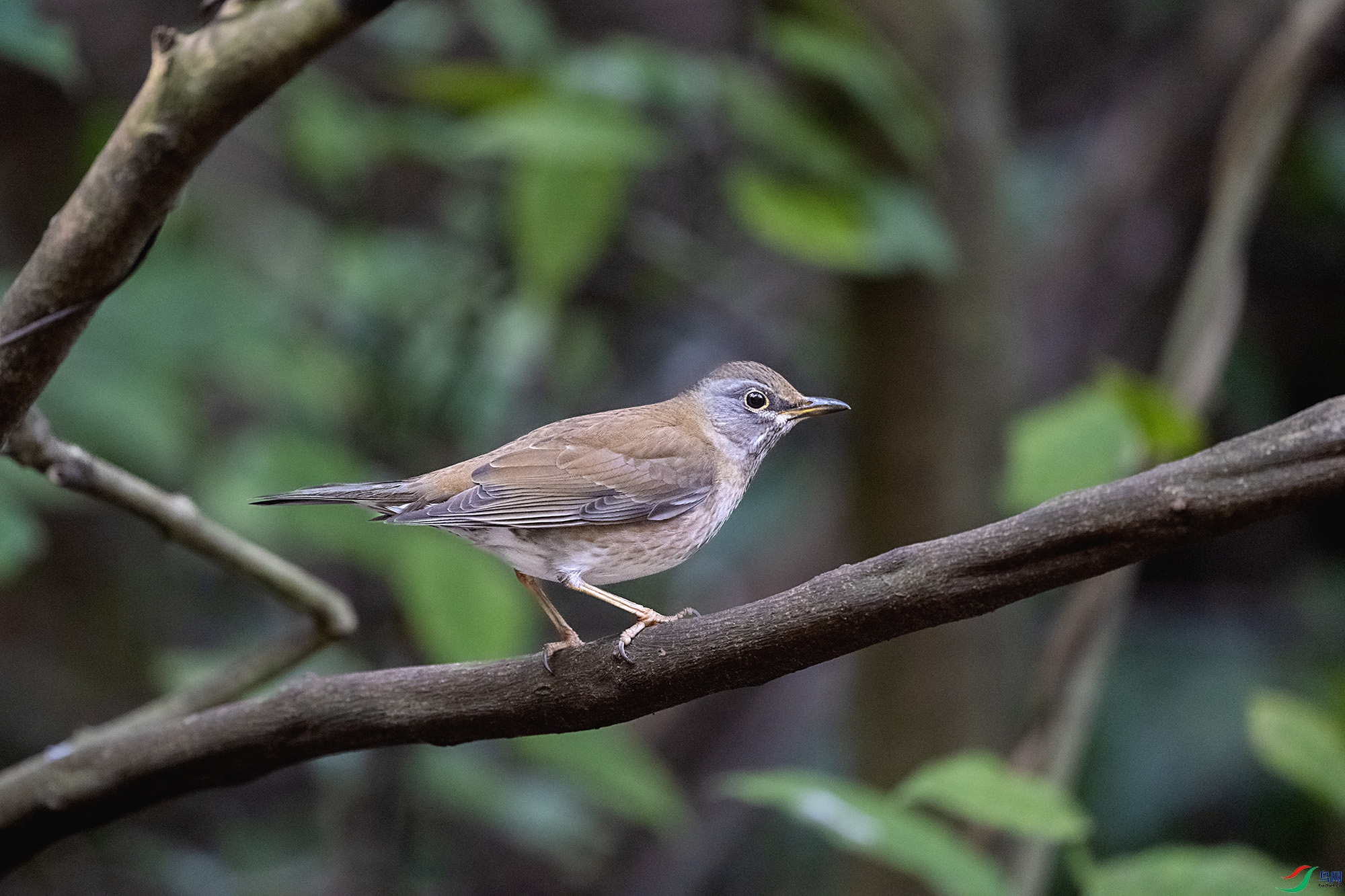 DSC_5348.jpg