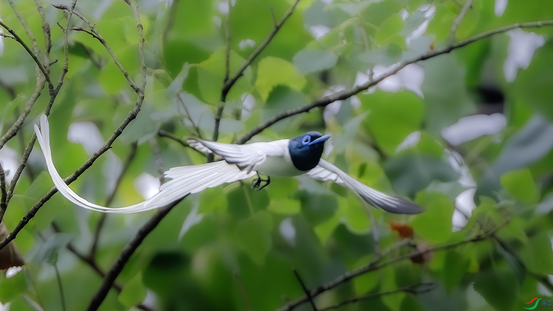 DSC_4401-����ǿ-NR-1 ����.jpg