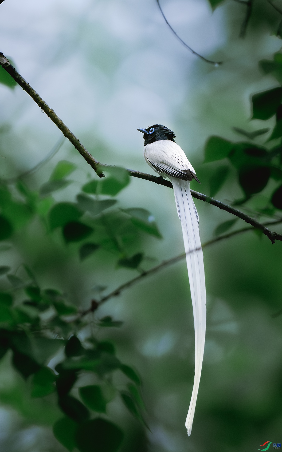 DSC_4883-����ǿ-NR ����.jpg