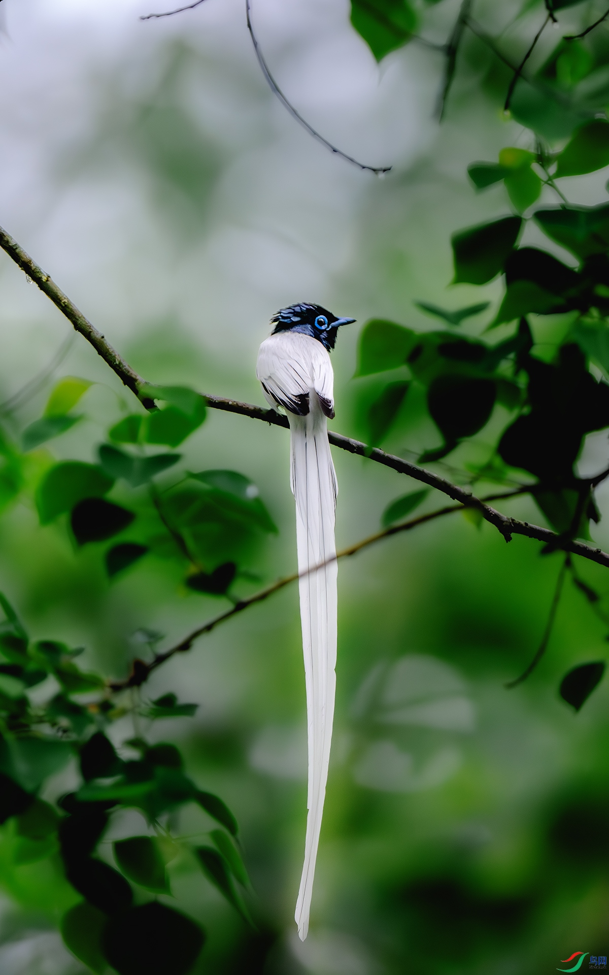 DSC_4909-����ǿ-NR ����.jpg