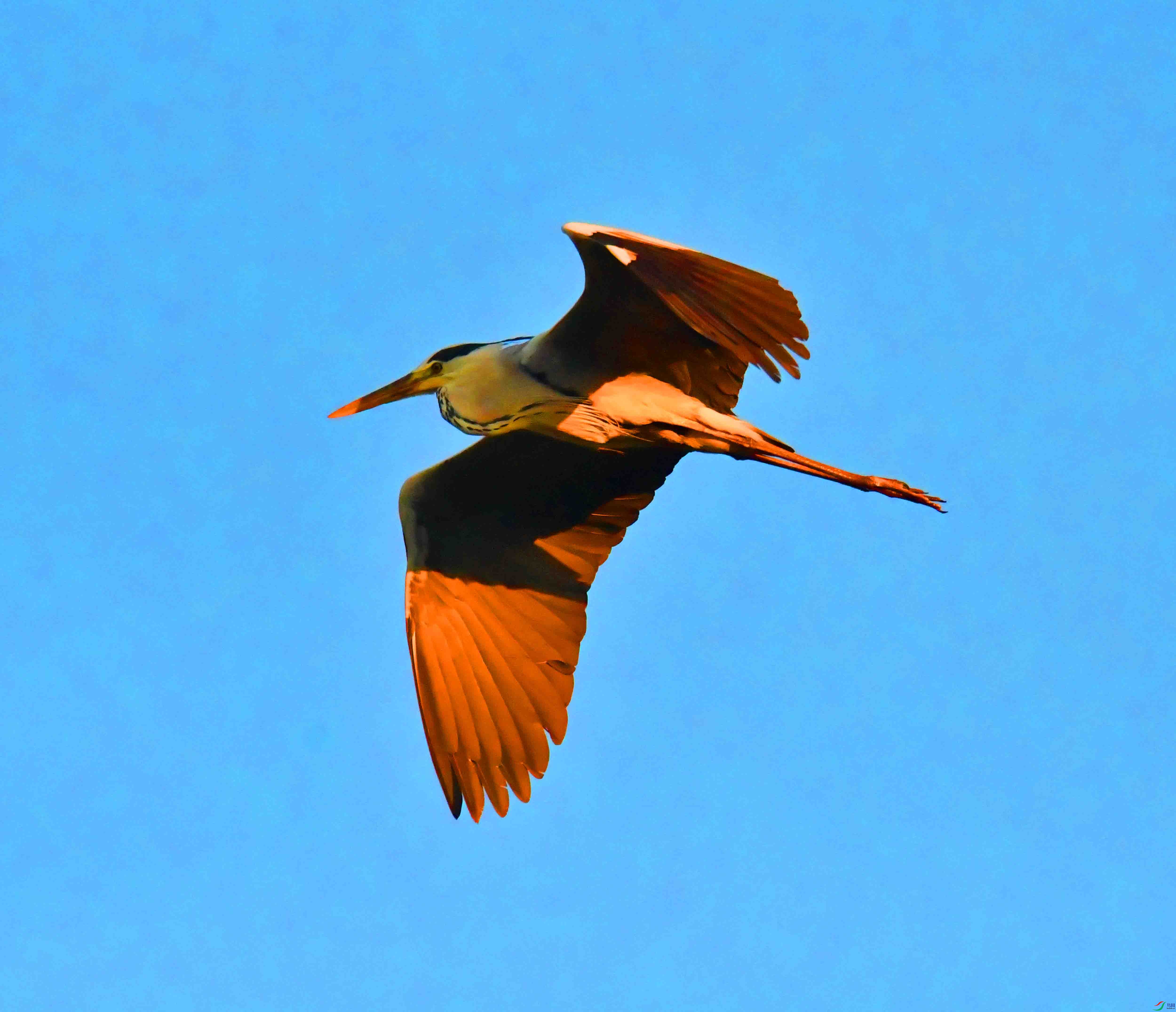 DSC_5493.JPG